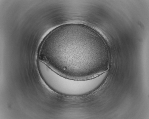 X0000112811468200909041443