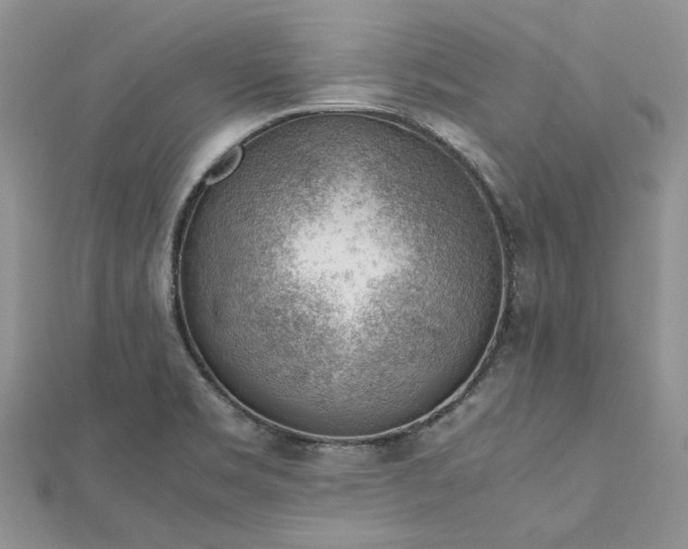 X0000112811469200909041443
