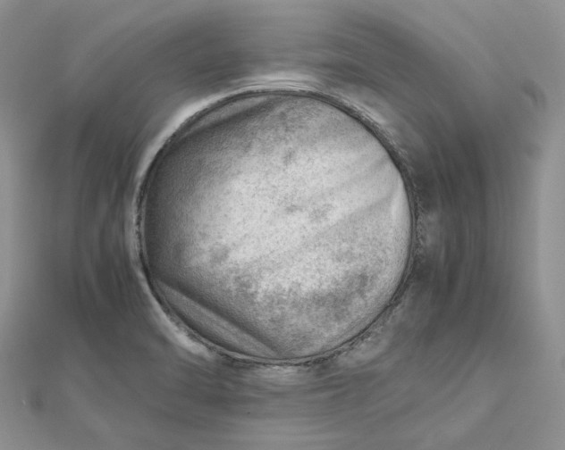 X0000112811470200909041443