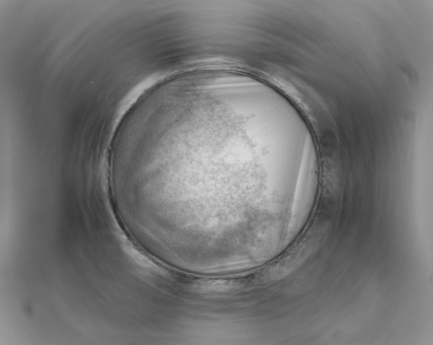 X0000112811474200909041443