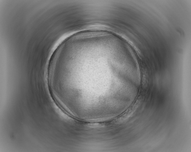 X0000112811478200909041443