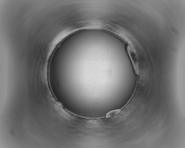 X0000112811480200909041443