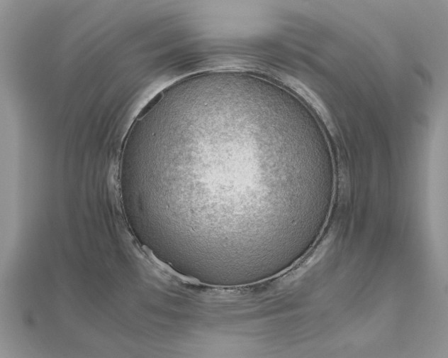 X0000112811481200909041443