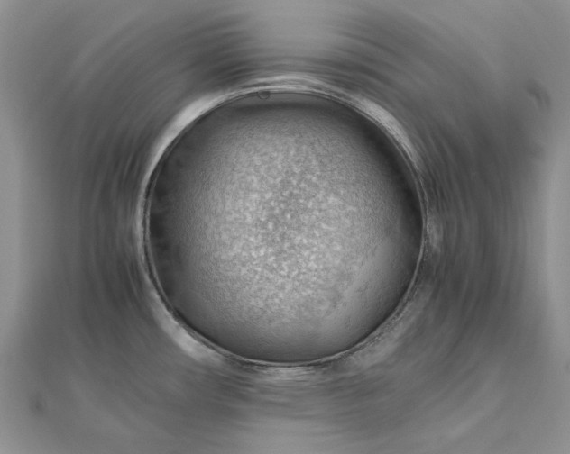 X0000112811482200909041443