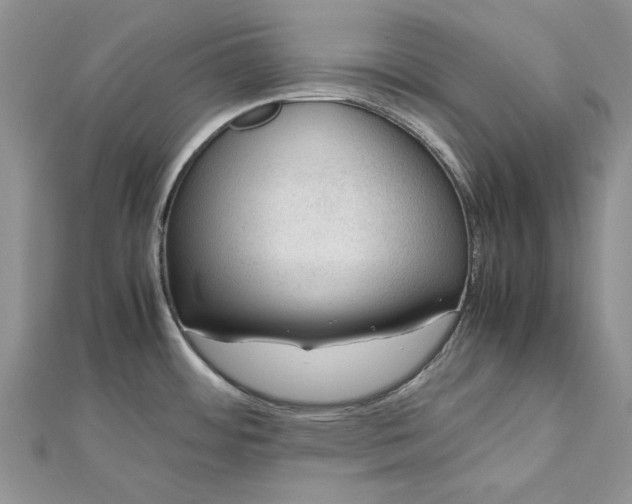 X0000112811484200909041443