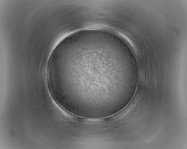 X0000112811487200909041443