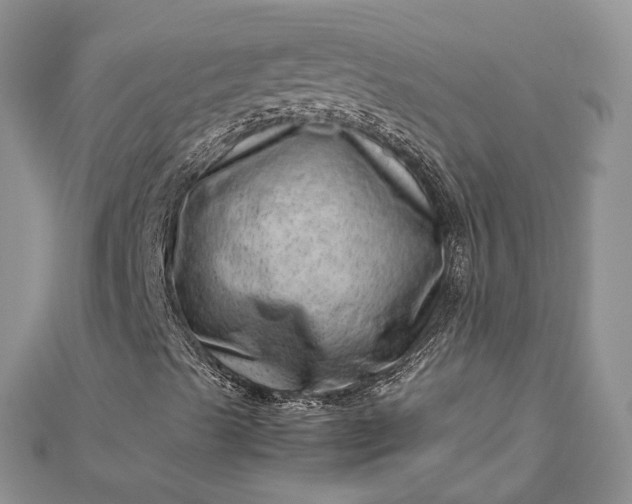 X0000112811489200909041442