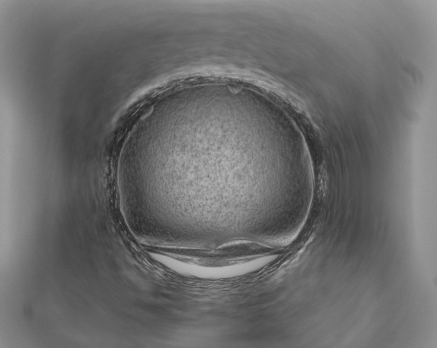 X0000112811494200909041442