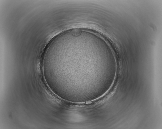 X0000112811497200909041443
