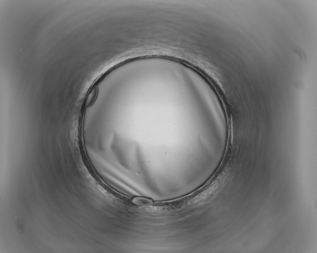 X0000112811500200909041443