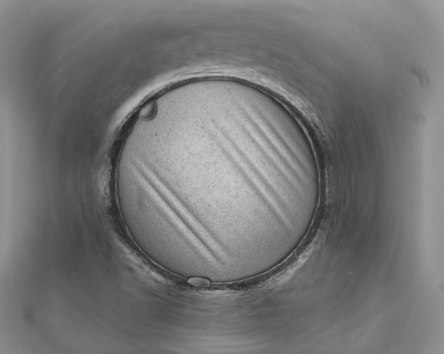 X0000112811502200909041443