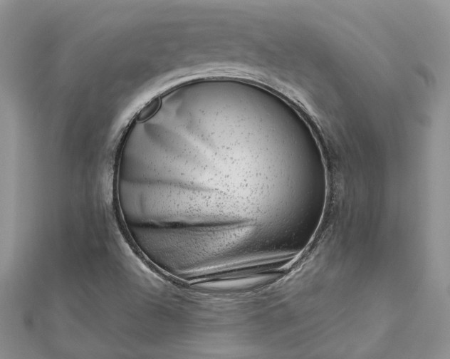 X0000112811504200909041443
