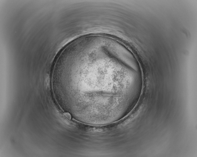 X0000112811505200909041443