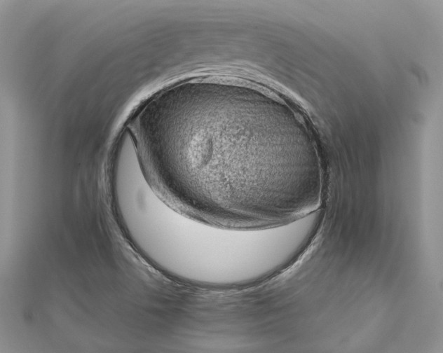 X0000112811506200909041443