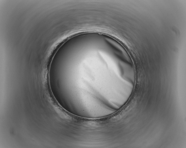 X0000112811507200909041443