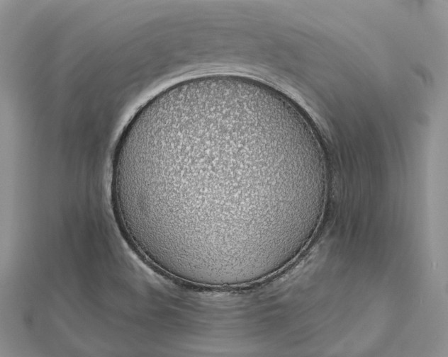 X0000112811508200909041443