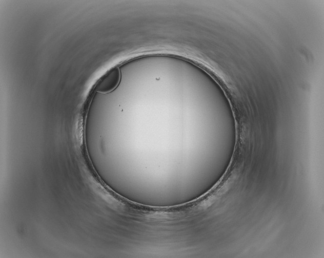 X0000112811510200909041443