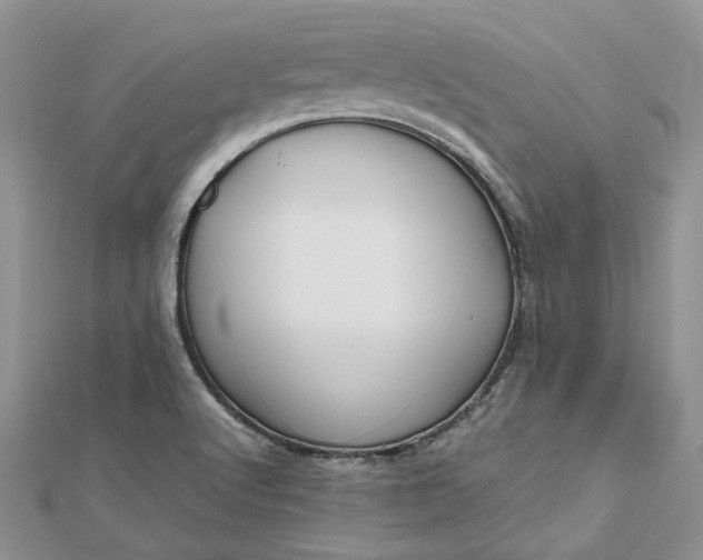 X0000112811512200909041443