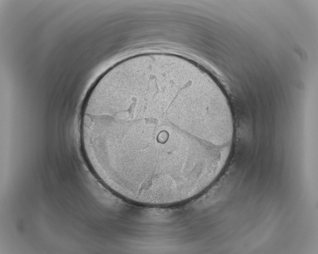 X0000112811514200909041443