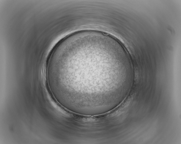 X0000112811515200909041443