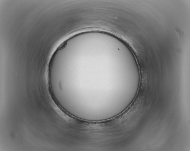 X0000112811516200909041443