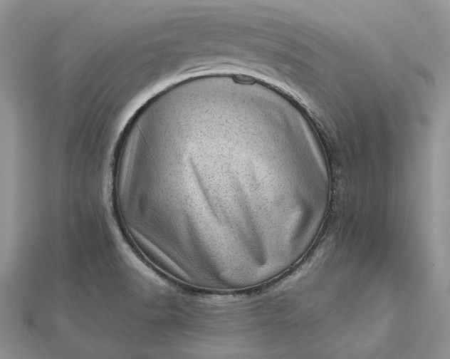 X0000112811518200909041443