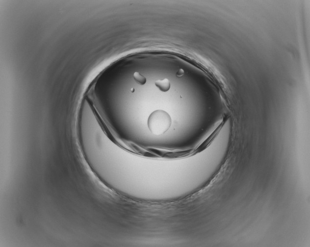 X0000112811520200909041443