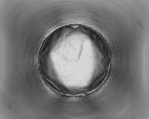 X0000112811521200909041443