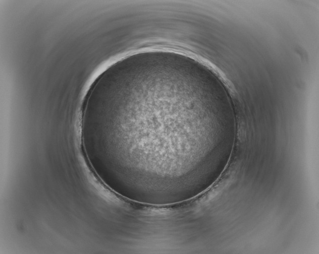 X0000112811522200909041443