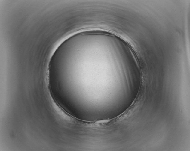 X0000112811524200909041443