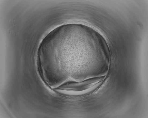 X0000112811525200909041443