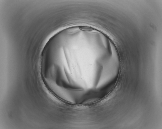 X0000112811526200909041443