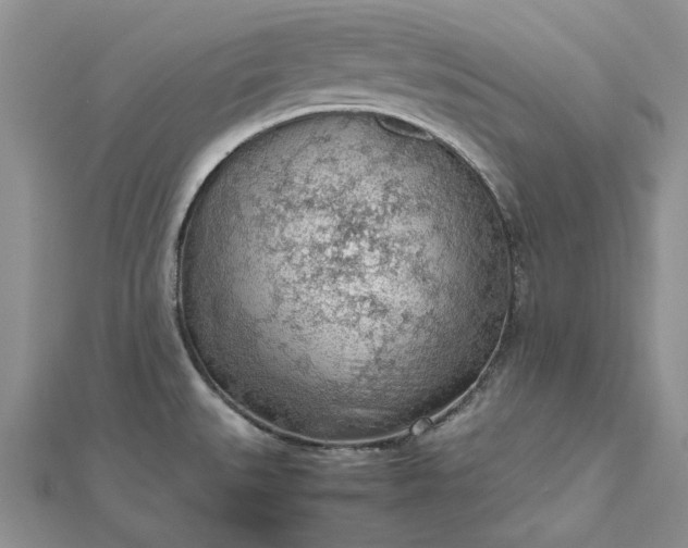 X0000112811527200909041443
