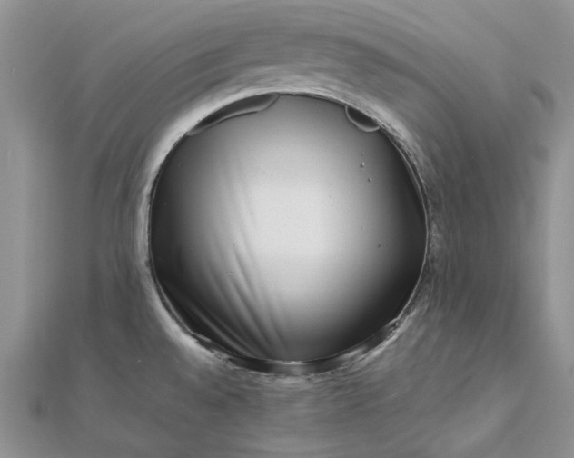 X0000112811528200909041443