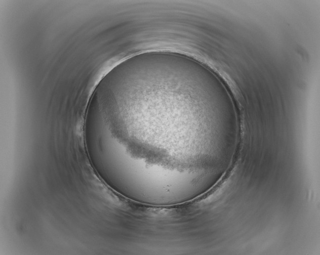 X0000112811529200909041443