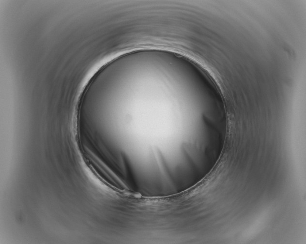 X0000112811531200909041443