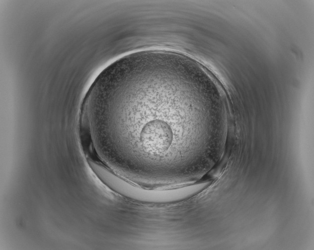 X0000112811532200909041443