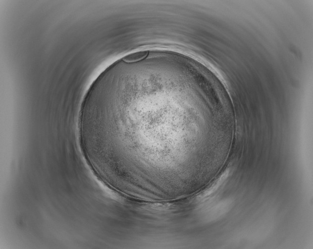 X0000112811533200909041443