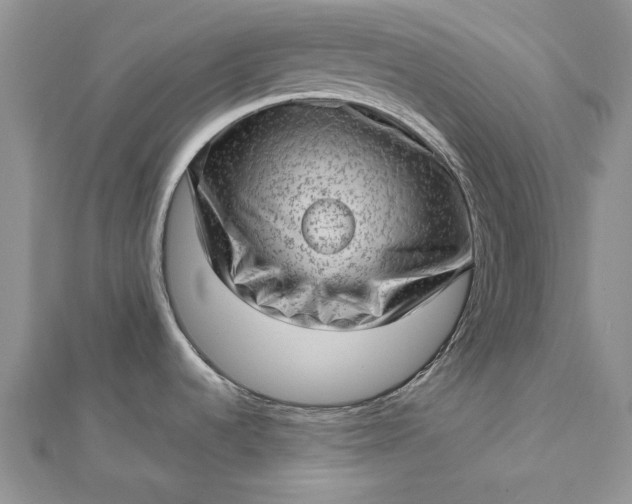 X0000112811536200909041443