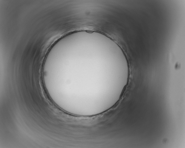 X0000112810001200909111310