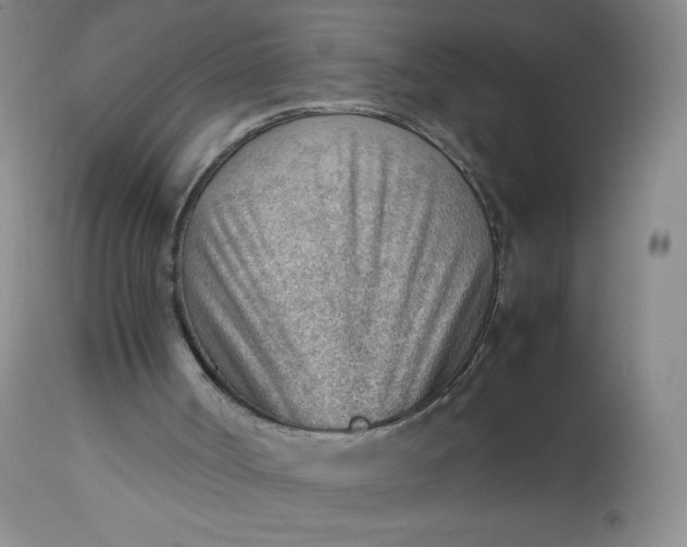 X0000112810002200909111310