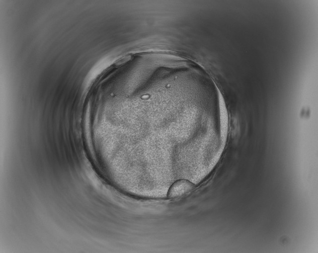 X0000112810004200909111310