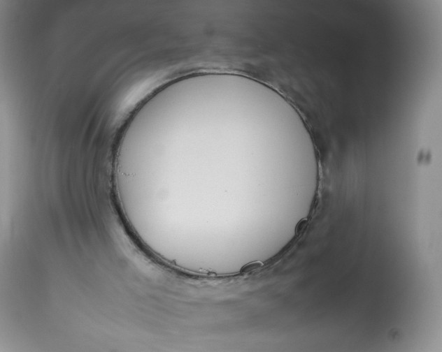 X0000112810005200909111310