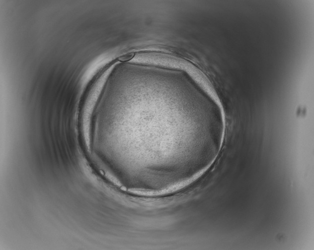 X0000112810006200909111310