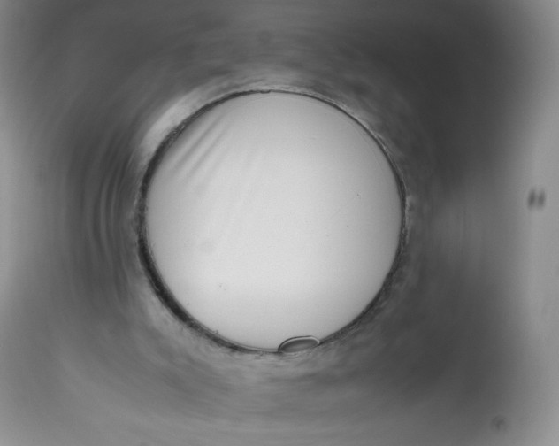 X0000112810007200909111310