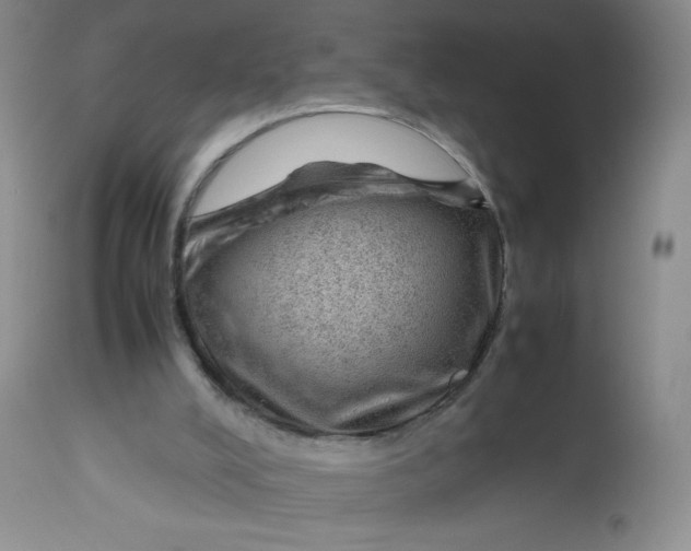 X0000112810008200909111310