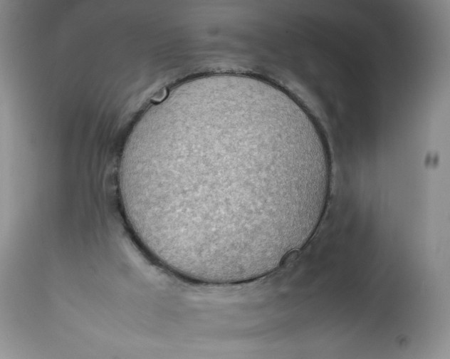 X0000112810009200909111310