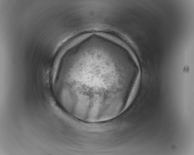 X0000112810010200909111310