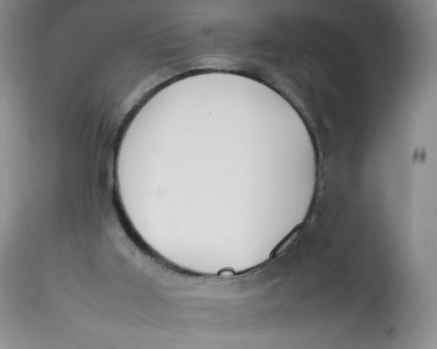 X0000112810011200909111310