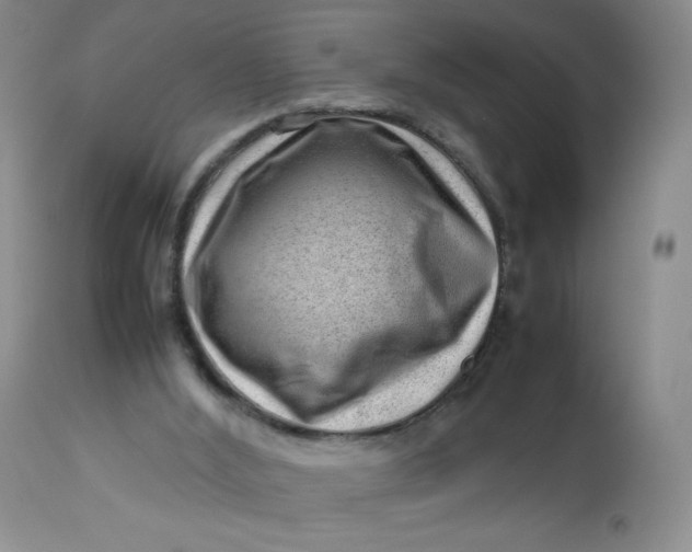 X0000112810012200909111310